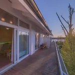 Appartement Elegant Eingerichtete *